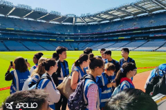 36543873_613632052335870_846609749930672128_n