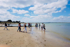 67223188_861379837561089_4104306391991189504_n