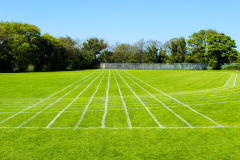 summer-dublin-homestay-11