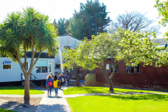 summer-dublin-homestay-18