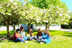 summer-dublin-homestay-19