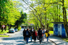 summer-dublin-homestay-27