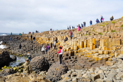 summer-dublin-homestay-30