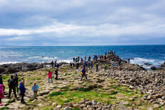 summer-dublin-homestay-33