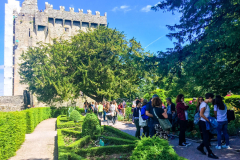 cork-homestay-residential-32