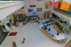 cork-homestay-residential-74