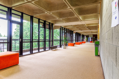 LIMERICK-UNIVERSITY-SUMMER-2023-14-scaled