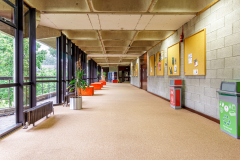 LIMERICK-UNIVERSITY-SUMMER-2023-15-scaled