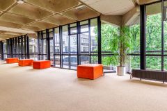 LIMERICK-UNIVERSITY-SUMMER-2023-16-scaled