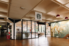 LIMERICK-UNIVERSITY-SUMMER-2023-17-scaled