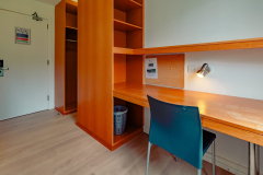 LIMERICK-UNIVERSITY-SUMMER-2023-41-scaled