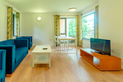 LIMERICK-UNIVERSITY-SUMMER-2023-44-scaled