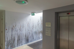 LIMERICK-UNIVERSITY-SUMMER-2023-50-scaled