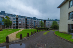 LIMERICK-UNIVERSITY-SUMMER-2023-54-scaled