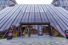 LIMERICK-UNIVERSITY-SUMMER-2023-59-scaled