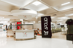 LIMERICK-UNIVERSITY-SUMMER-2023-64-scaled