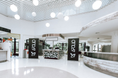 LIMERICK-UNIVERSITY-SUMMER-2023-69-scaled